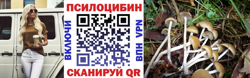 Галлюциногенные грибы Psilocybine cubensis  купить наркоту  Осинники 
